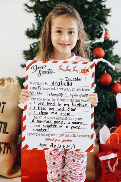 Reusable Sign - Dear Santa Wishlist